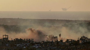 L'ONU réceptionne de l'aide humanitaire à Gaza, une première depuis mars