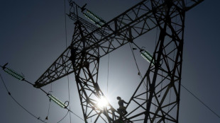 La France commence l'ann&eacute;e en redevenant exportatrice d'&eacute;lectricit&eacute; 