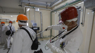 Nucleare, Isin: stima +70% della vigilanza per il 2026