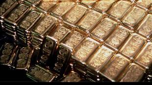 Malan, inviata comunicazione su oro Bankitalia alla Bce