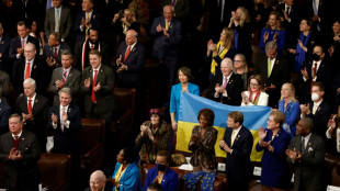 Un Congr&egrave;s am&eacute;ricain en bleu et jaune pour accueillir Zelensky