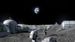 Ritorno sulla Luna, l'Italia tra i Paesi pi&ugrave; coinvolti