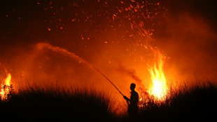 Les cons&eacute;quences d'un ph&eacute;nom&egrave;ne El Ni&ntilde;o record pour le monde