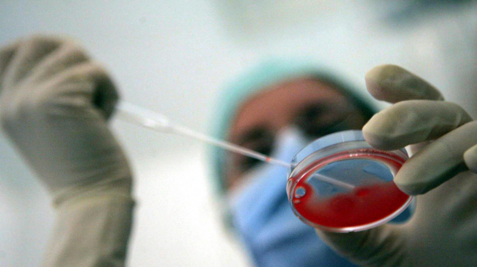 Fecondazione assistita, dimezzare i costi a carico dei pazienti raddoppierebbe nascite