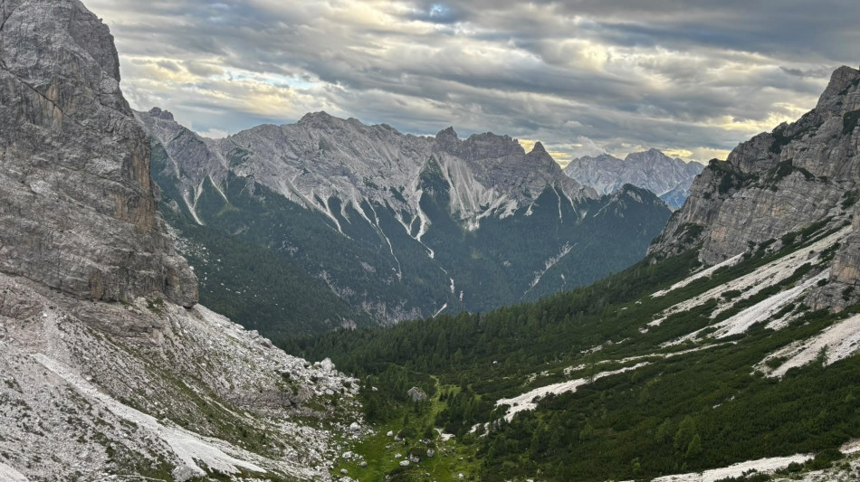 Montagne europee pi&ugrave; verdi, ma accelera il ritmo di estinzione
