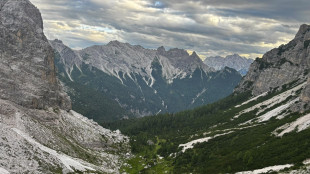 Montagne europee pi&ugrave; verdi, ma accelera il ritmo di estinzione