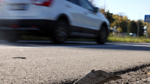 Investito e ucciso su carrozzina, Martinez indagato