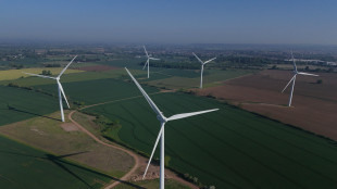 Orsini, prezzo energia &egrave; minaccia esistenziale, sbloccate rinnovabili