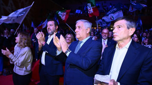 Intesa centrodestra, Stefani in Veneto, Lobuono in Puglia