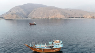 Ir&atilde; adverte navios para que n&atilde;o se desviem da rota demarcada em Ormuz