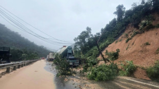 Al menos seis muertos por deslizamientos de tierra en Vietnam