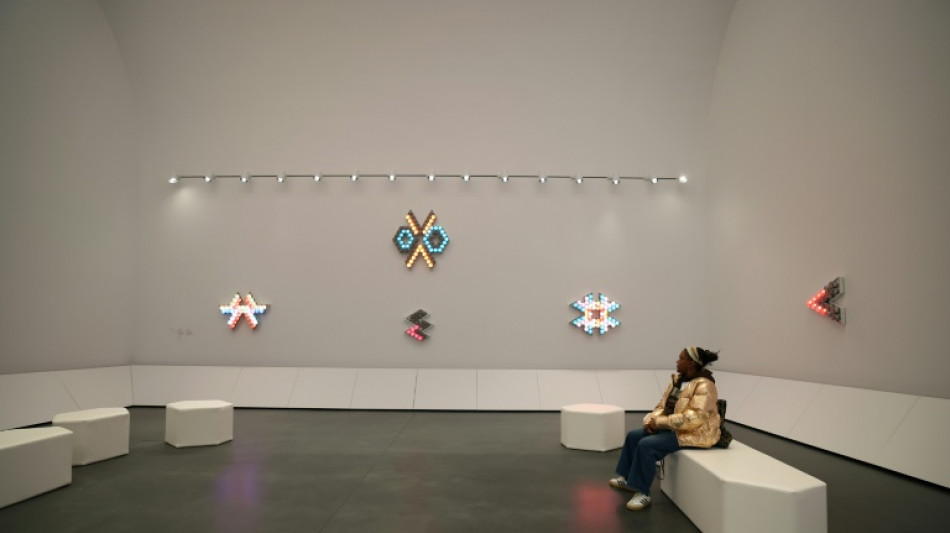 Rebooted Harlem museum celebrates rise of Black art