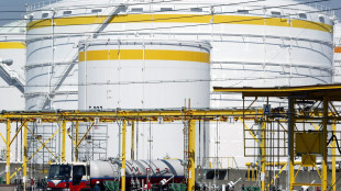 Il prezzo del gas ancora in rialzo, chiude a 55 euro