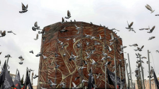 Activistas conectan a los iran&iacute;es a internet a trav&eacute;s de Starlink