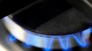 Trading Hub Europe gibt H&ouml;he der Gasumlage bekannt 