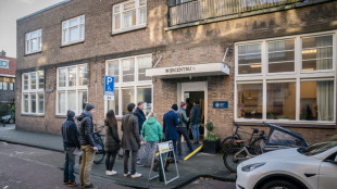 Pays-Bas: la fronde des agriculteurs au centre des &eacute;lections provinciales