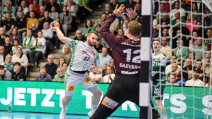 Magdeburg siegt mit M&uuml;he - Ludwig-Show bei Berlin