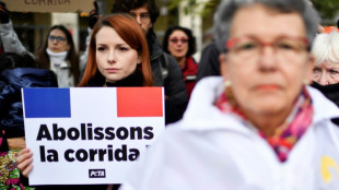 Pro et anti corrida dans la rue avant un vote &agrave; l'Assembl&eacute;e