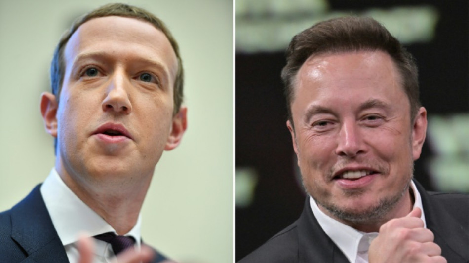 Musk affirme que son "combat" contre Zuckerberg aura lieu en Italie