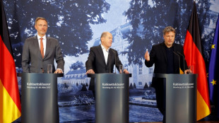 Gr&uuml;ne und FDP beharren vor Koalitionsausschuss auf ihren Positionen