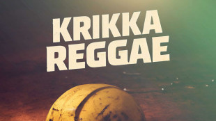 Il lavoro 'Non può finire così', il nuovo singolo dei Krikka reggae