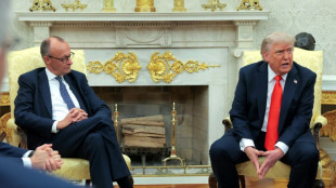 Vor Treffen mit Trump: Merz ber&auml;t in Washington mit Wirtschaftsvertretern