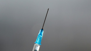 Vaccins: l'OMS identifie 17 agents pathog&egrave;nes prioritaires