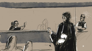 Attentats du 13-Novembre: jugement nuanc&eacute; sur les complicit&eacute;s belges