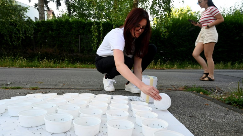 La Croatie face &agrave; la prolif&eacute;ration des moustiques tigres
