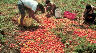 Cgia, un neoassunto su quattro &egrave; straniero