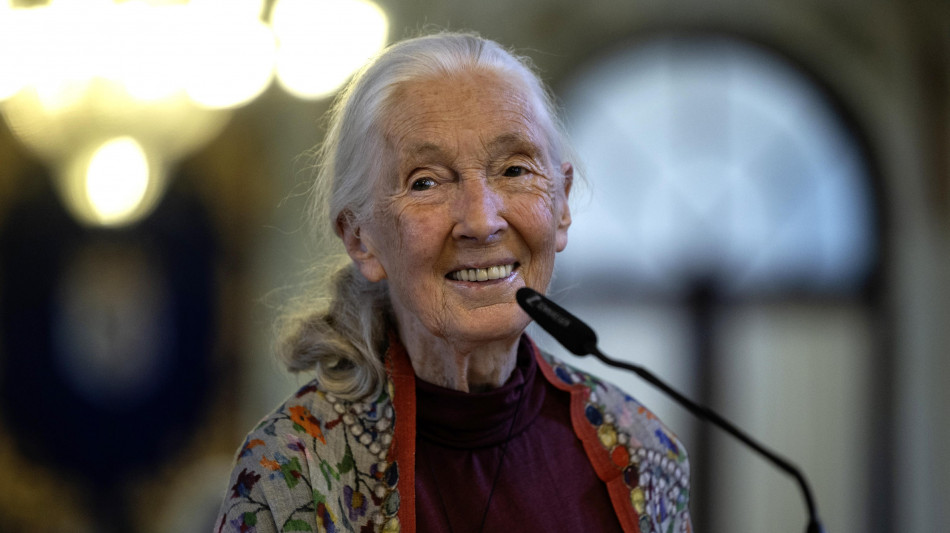 Morta a 91 anni la celebre etologa Jane Goodall