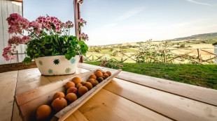 Istat, in ultimi 10 anni valore economico agriturismo cresciuto del 5,3% annuo