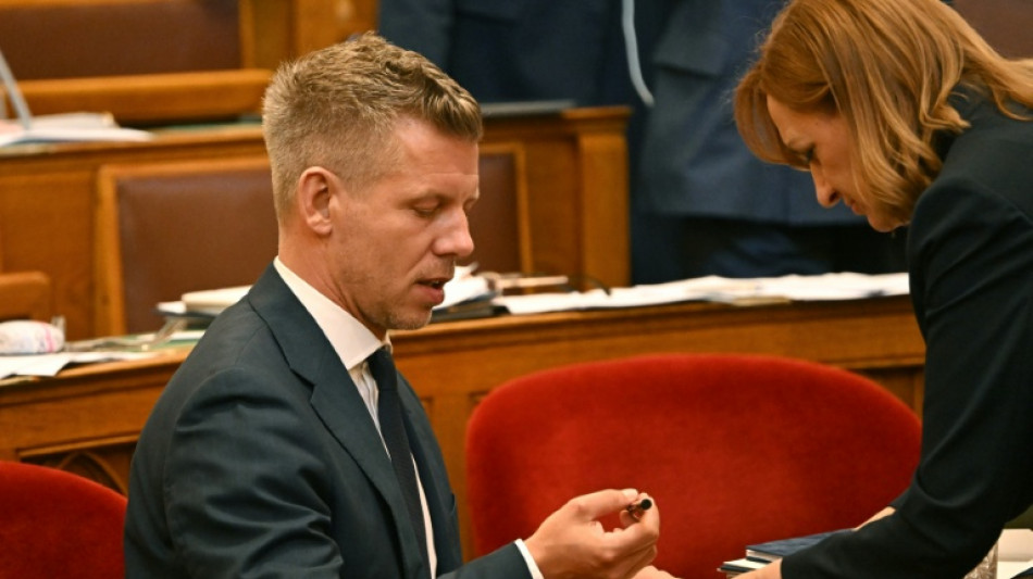 Magyar-Partei w&auml;hlt erstmals Verfassungsrichter - Amnesty: Verfahren "wie unter Orban"