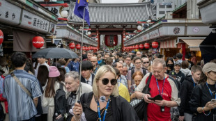 Jap&oacute;n registra un r&eacute;cord de turistas en el primer semestre de 2024