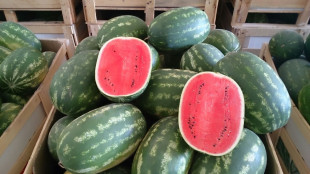 Caldo estremo e temporali ma domanda di frutta e verdura regge con turismo estivo