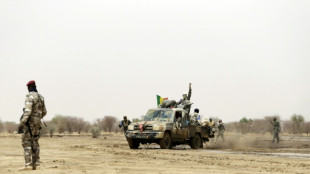 Mali: le gouvernement confirme le bilan de 42 soldats tu&eacute;s dans l'attaque jihadiste &agrave; Tessit