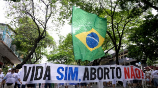 El Congreso brasile&ntilde;o proh&iacute;be destinar dinero p&uacute;blico al aborto o la ocupaci&oacute;n de tierras