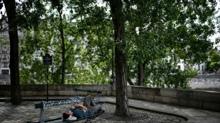 Un Paris plus vert et ombrag&eacute;: les recommandations pour adapter la capitale aux canicules
