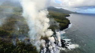 Fin de l'&eacute;ruption du Piton de la Fournaise &agrave; La R&eacute;union
