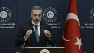 Turchia all'Iran, 'evitare l'espansione del conflitto'