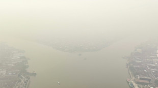 Indonesia escalates battle against fires, putrid haze