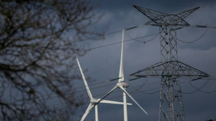 Eolien et solaire: la France s'&eacute;loigne de ses objectifs