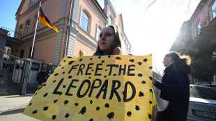 "Werft euch in euren liebsten Leoparden-Print"