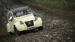 2CV classic car meet gets show on the road