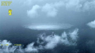 Nord Stream: une 4&egrave;me fuite, l'Otan d&eacute;nonce un sabotage, Moscou un "Etat" &eacute;tranger