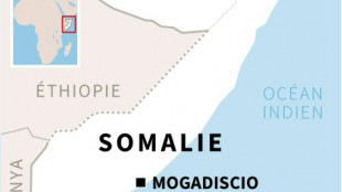 Somalie: au moins quatre morts dans une attaque islamiste sur un h&ocirc;tel 