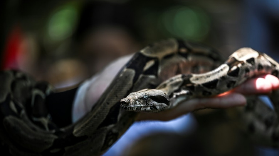 Venezuela: serpents, p&eacute;nurie d'antidotes et ignorance