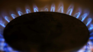Gme, in calo l'indice italiano del prezzo del gas