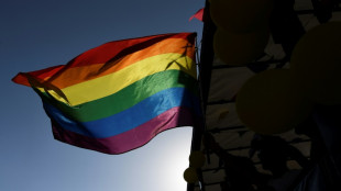 Investigadores descubren variaciones genéticas asociadas a la bisexualidad