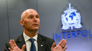 Interpol backroom warriors fight cyber criminals 'weaponising' AI
